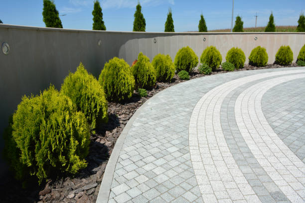 Best Driveway Repair Near Me  in San Juan, TX